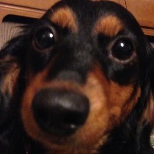 Meet your Posher, Caleb